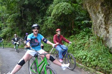 Bicycle Tour of Jamaica's Blue Mountains from Negril