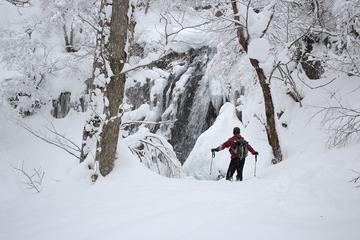 Takayama Tours Travel & Activities