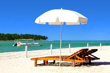 Porto de Galinhas Tours, Travel & Activities