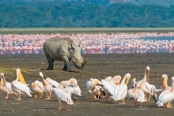 Multi-Day & Extended Tours from Kenya