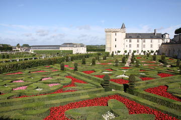 Tours Wine Tours