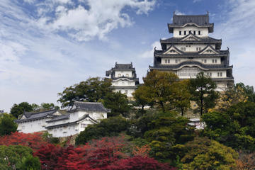 ALL Osaka Tours, Travel & Activities