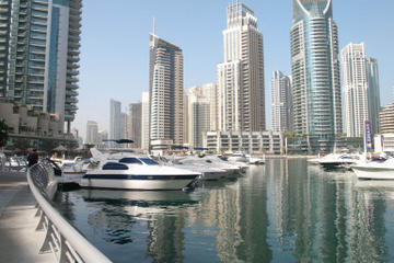 Dubai Shore Excursions