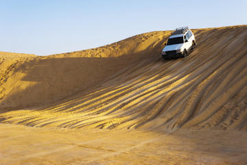 Private Tour: 4x4 Taste of Arabian Desert Day Trip from Dubai