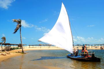 ALL Fortaleza Tours, Travel & Activities