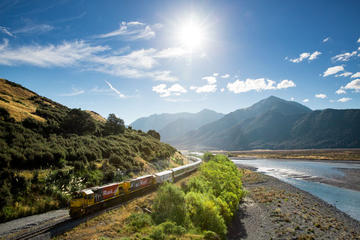 Christchurch Day Trips & Excursions