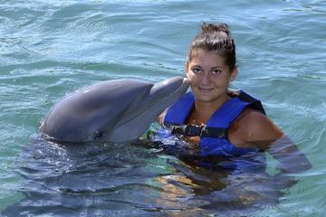 Ultimate Swim Dolphin Program in Ocho Rios