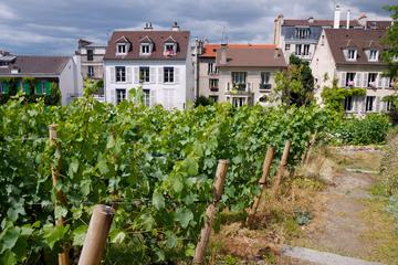 Paris Wine Tours