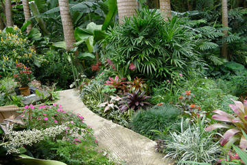 Taste of Barbados Full-Day Sightseeing Tour