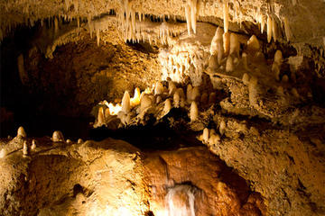 Treasures of Barbados Sightseeing Tour