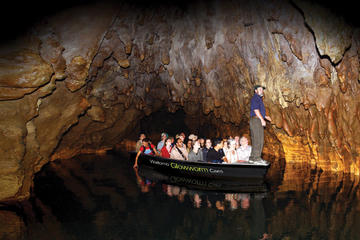 Waitomo Glowworm Caves