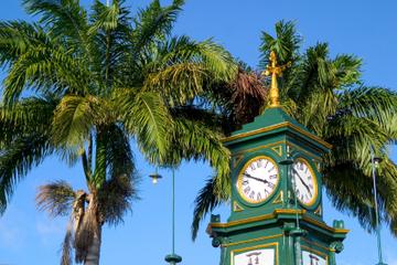 St. Kitts - Nevis Tours, Cruises,  Travel & Activities