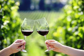 Dubrovnik Wine Tasting & Winery Tours