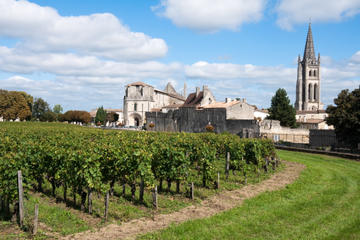 Bordeaux Wine Tours