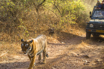 New Delhi Outdoor Activities