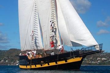 British Virgin Islands Cruises & Water Tours