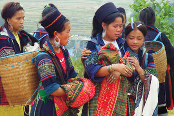 Hanoi Cultural & Theme Tours