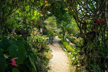 Ahhh Ras Natango Gallery and Garden Tour from Montego Bay