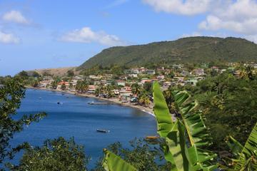 Dominica  Shore Excursions