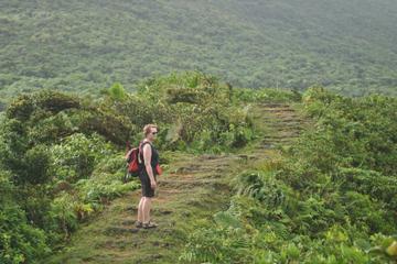 Dominica Day Trips & Excursions