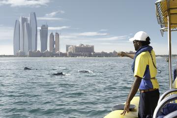 Abu Dhabi RIB Sightseeing Boat Cruise