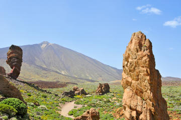 Tenerife Shore Excursion: Private Teide National Park Day Trip