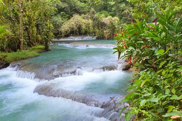 Ocho Rios Shore Excursion: Dunn's River Falls
