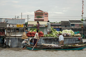 Mekong Delta Tours, Travel & Activities