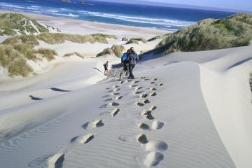 Dunedin & The Otago Peninsula Tours, Travel & Activities, South Island, New Zealand