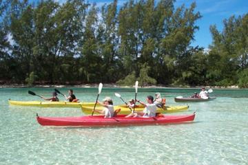 Grand Bahama Island Jeep and Kayak Adventure from Freeport