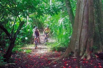St Lucia Combo Tour: Jungle Biking and Snorkeling Adventure