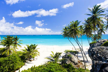 Barbados Coastal Beach Sightseeing Tour