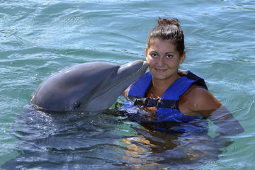 Freeport Dolphin Encounter