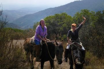 Valparaiso Outdoor Activities