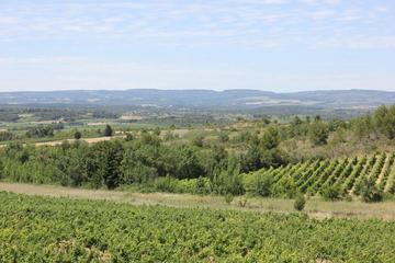 Carcassonne Wine Tours