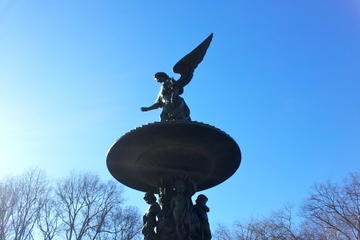 Book Private Guided Tour of Central Park Now!