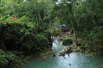 Dunn's River Falls, White River Tubing and Blue Hole Tour plus Shopping