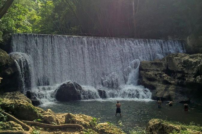 Arecibo waterfall and food hoping tour