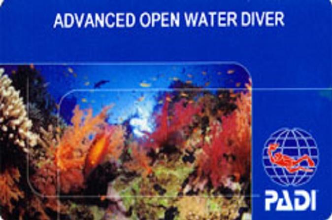 Учебник По Дайвингу Advanced Open Water Diver На Русском