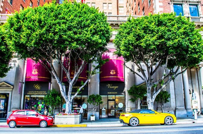 Private Los Angeles City Tour