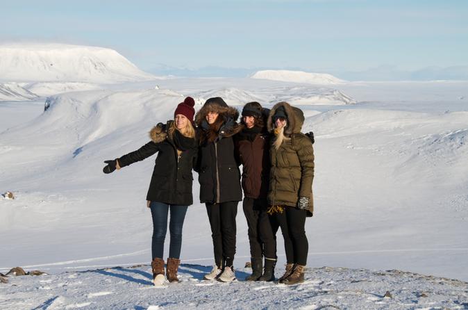 Small-Group Day Trip to Thorsmork and Eyjafjallajokull from Reykjavik