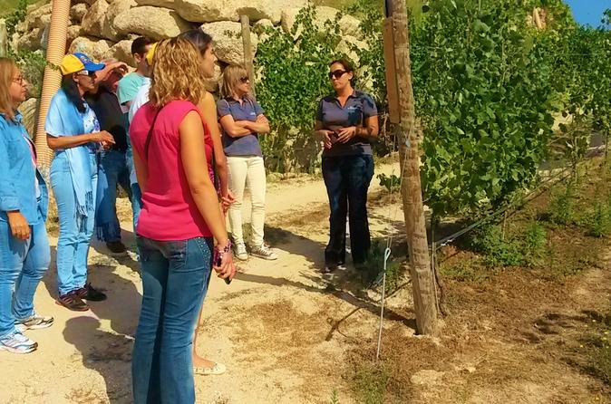 Wine Tour and Tasting at Quinta de Santa Cristina Wine Estate
