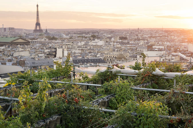 Secret garden over Paris at Galeries Lafayette