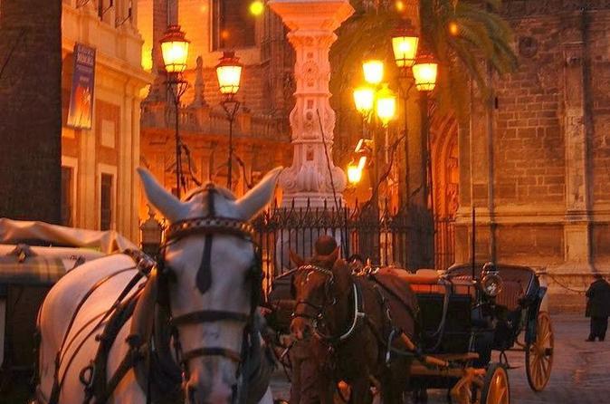 Horse and Buggy Ride in Seville