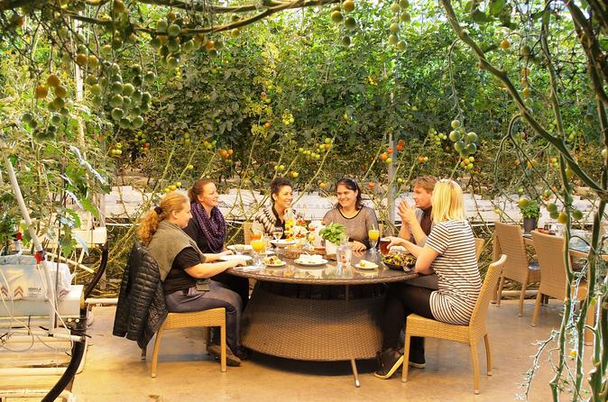 Premium Small-Group Golden Circle Day Trip from Reykjavik