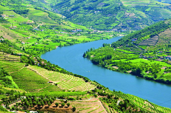 Douro Valley with Lunch, Wine Tasting and Optional Cruise Small-Group Day Trip