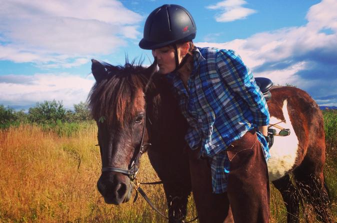 Private Horse Riding Tour on Úlfarsfell Mountain with Pickup from Reykjavik