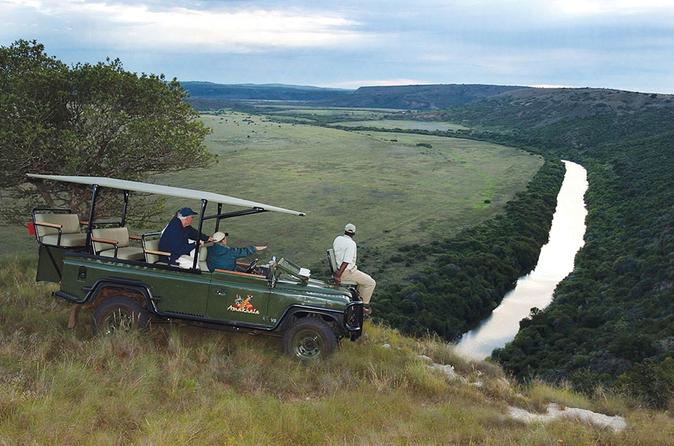 Private Amakhala Private Game Reserve Day Tour from Port Elizabeth