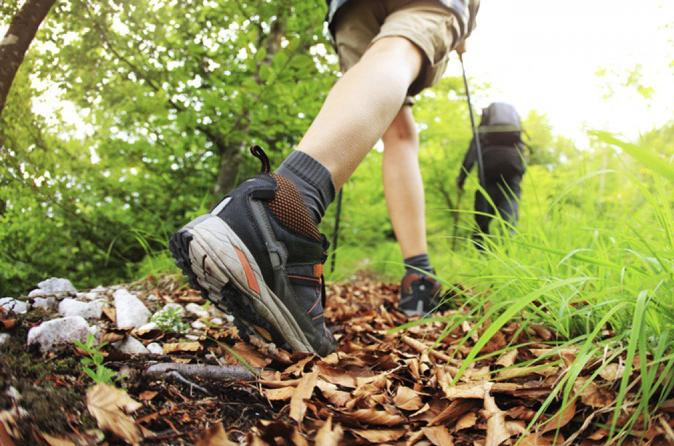 Medvednica Trekking Tour from Zagreb