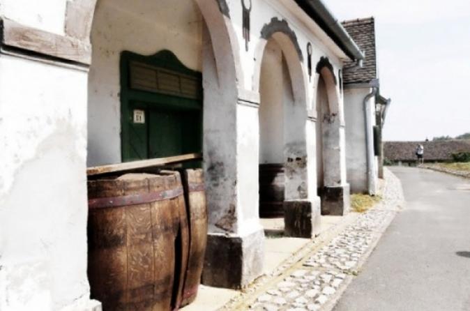 Private Wine Tasting and History Tour of Eger from Budapest